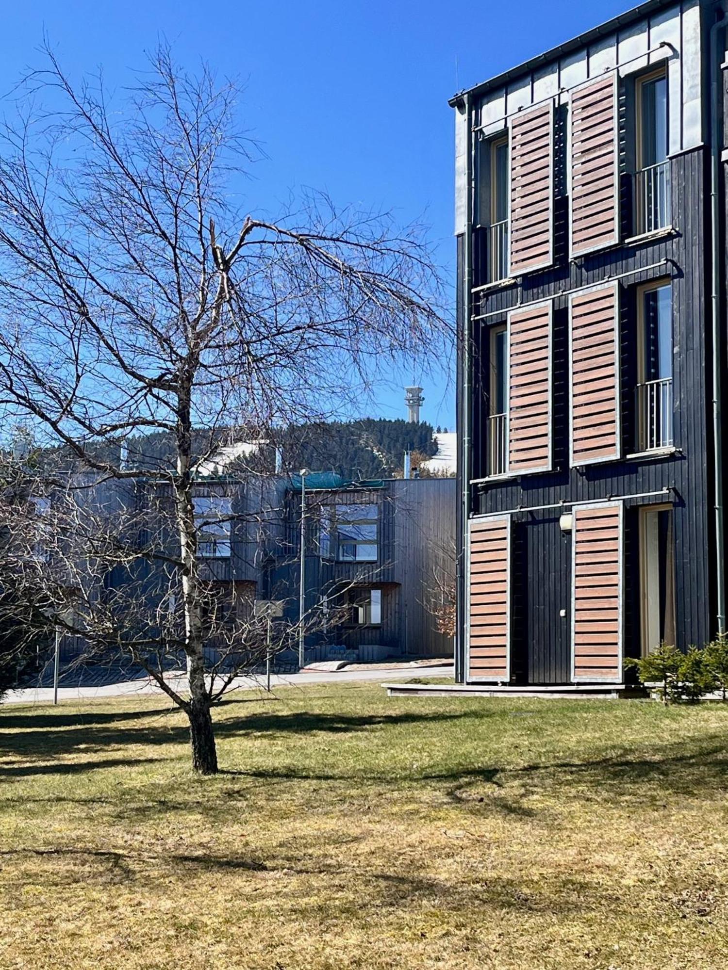 Meadows Apartments Klinovec Loučná pod Klínovcem Exteriér fotografie